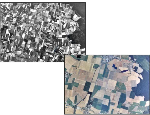 Figure 3 : évolution du paysage agricole sur la commune de Beauvoir sur Niort entre 1984 et 2011