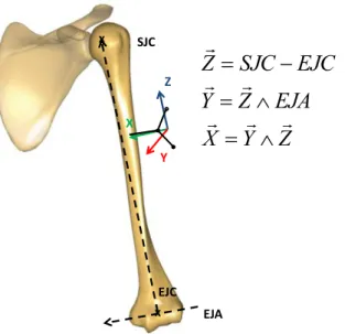 Figure 9 : ‘ep e a ato i ue de l hu us  e t   sur  le point moyen des marqueurs de la tige intra-corticale