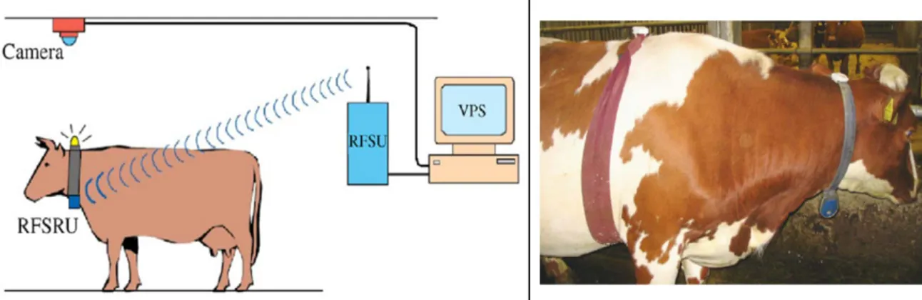 Figure 1.9 : Système optique  de localisation en temps réel. RFSRU : unité de réception de  synchronisation radio fréquence; RFSU : unité de synchronisation de fréquence radio; 