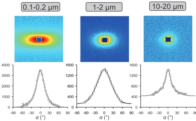 Figure II.7 : Images 2D de l’intensité diffusée des neutrons aux petits angles (haut) et rocking  curves expérimentales (bas) pour les trois fractions granulométriques saturées Na dans l’état 