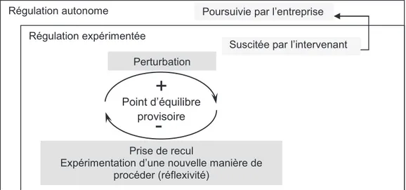 Figure 1. Les buts de l’intervention : réflexivité et autorégulation. 