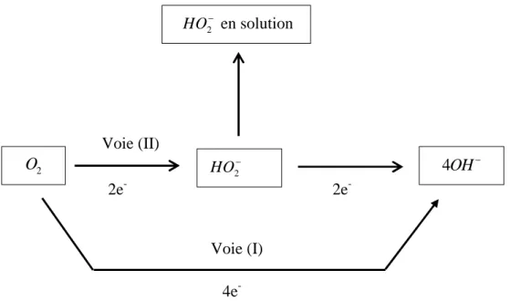 Figure 4: Mécanisme de la réaction de réduction de l'oxygène en milieu alcalin. 