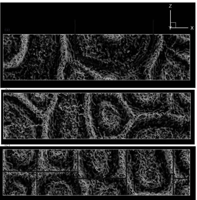 Fig. 2.28 Vue de dessus de la surface libre pour trois valeur de ¶ différentes : (a) ¶=1,8, (b) ¶=2,3 et (c) ¶=2,5