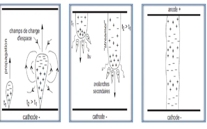 Figure 1.6 : Mécanisme de claquage de type steamer positif (CDS)  (a) : Avalanche électronique 