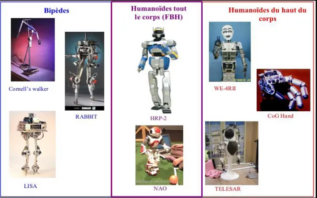 Figure I.2: La ressemblance des robots avec l’être humain  dépend des objectifs et de la recherche menée