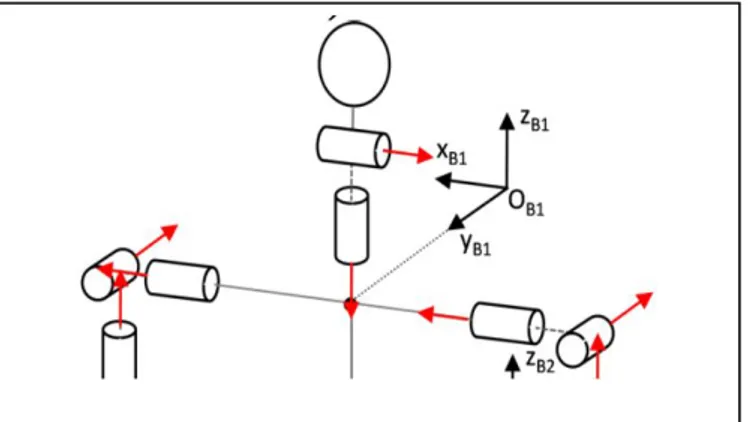 Figure II.4 :La base de coordonnée B1 au centre de cou. 