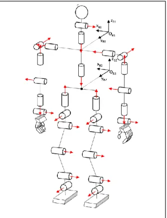 Figure II.5 : le robot humanoïde HuboKHR-4. 