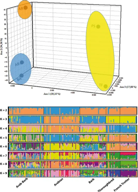 Figure 3 Factorial correspondence analysis of the 14 microsatellite loci analysed in the five horse breeds