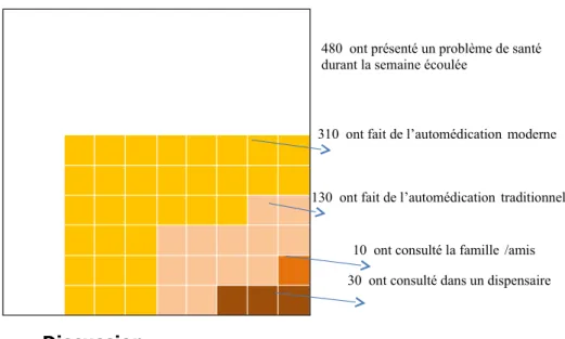 Figure 1 : représentation du schéma de l'iceberg à Cotonou