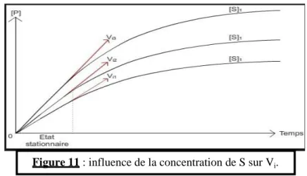 Figure 11 : influence de la concentration de S sur V i . 