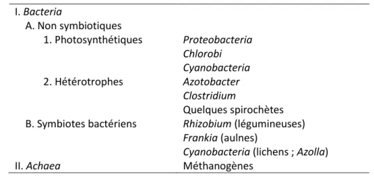 Tableau 1: Exemples de groupes procaryotes contenant des espèces fixatrices d'azote. 