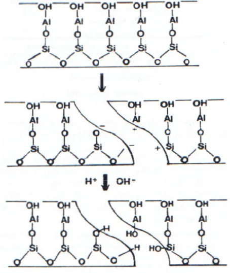 Figure I.6 : Mécanisme de la formation de la charge de surface pour la kaolinite en suspension dans l’eau.