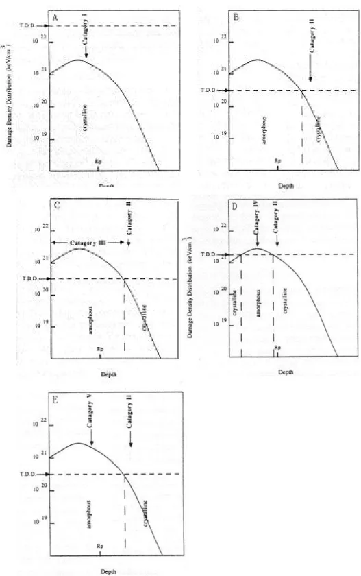 Figure 2.13: Schematics depicting the classification system as developed  by Jones et al [52]