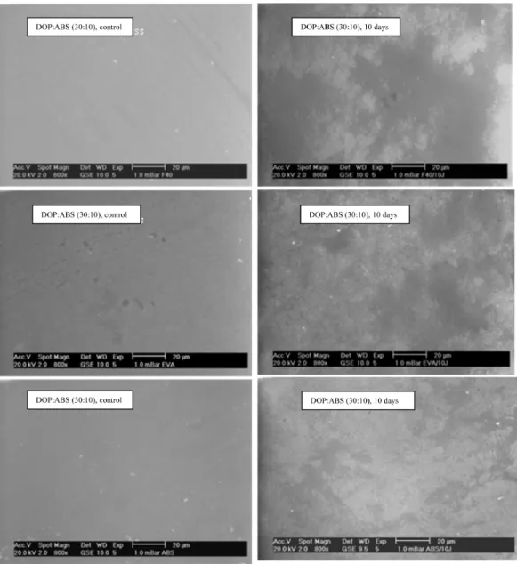 Figure 3 illustrates images of PVC samples of the three formulations analysed by scanning electron microscopy   