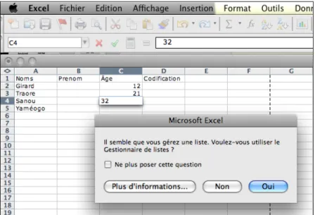 Figure 13 : Exemple d’utilisation de la PsE dans MS Excel 