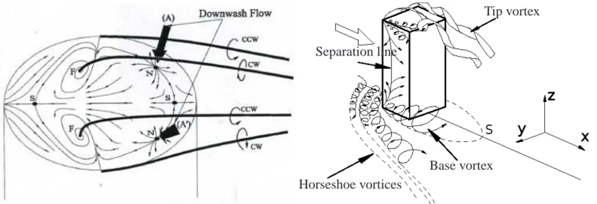 Figure 2.15(a), coupl´es aux tourbillons marginaux et `a l’int´erieur de ceux-ci, existent des Tornado-like vortices