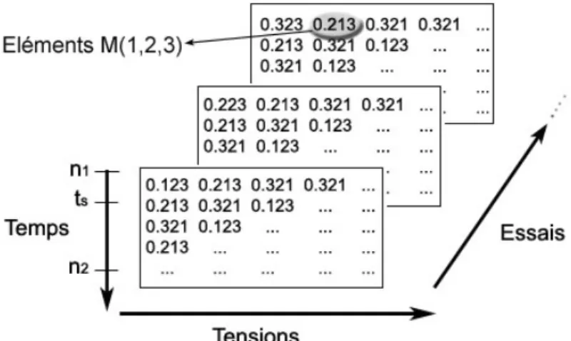 Figure 24 Classement des données numériques sous une forme matricielle   en trois dimensions (Temps × Tensions × Essais) 