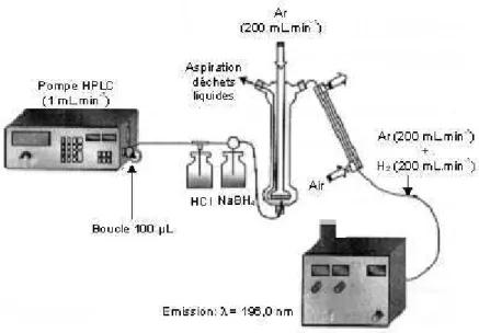 Figure 18 : Montage employé pour les analyses effectuées par HG-AFS au cours de cette étude