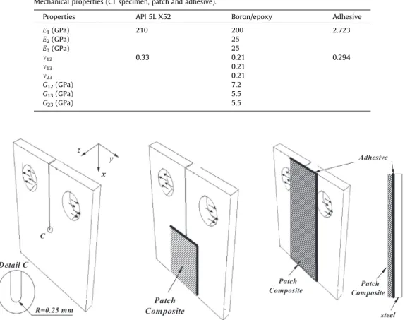 Fig. 1. Types of studied specimen.