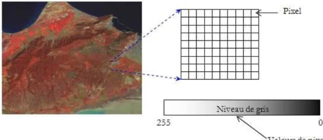 Figure 8 : Image satellitaire « Oran » (LANDSAT 5 -TM) 