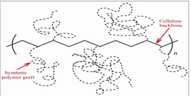 Figure 12: structure d'hydrogels agricole(Kalhapure. et al ,.2016)  I-1-5-A-L'effet de l'hydrogel sur la rétention d'eau  