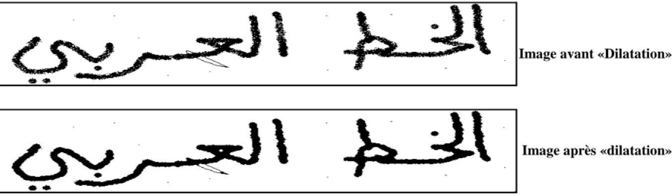 Figure 1.9  Image traitée par dilatation  1.5.2.4 Ouverture morphologique  