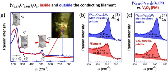 Figure S 6 :  (a) Full Raman spectra measured inside (red curve) the conducting filament and  outside in the pristine state (blue curve)