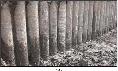 Figure 15 : Illustration de pose de pieux sécants  ((A) procédé de réalisation, (B) ouvrage après réalisation)  En fonction des conditions de terrain, les pieux peuvent être : 