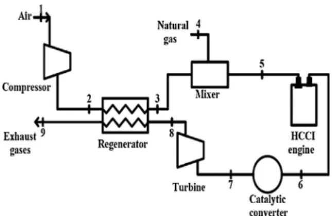 Fig. 1. Scheme of the system studied.