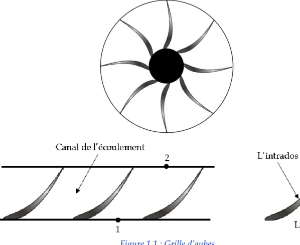 Figure 1.1 : Grille d’aubes 
