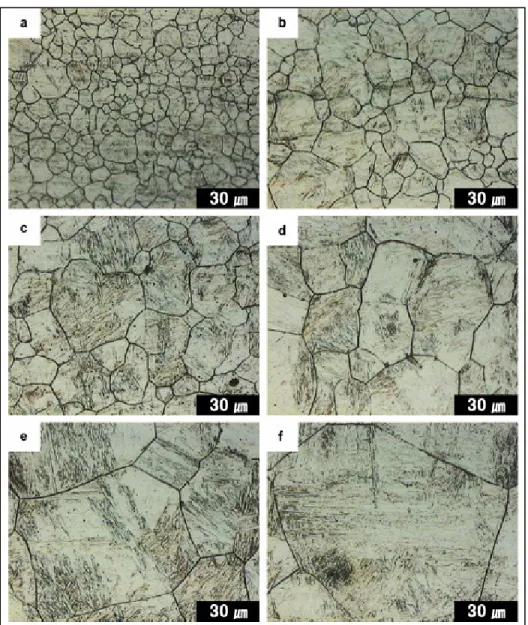 Figure 1.8 Variation de la taille de grains de l’austénite, prise par  microscope optique,  pour différentes températures de maintien: (a) 900, 