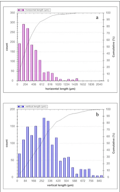 Figure 2.9 Distribution: (a) horizontale et (b) verticale  de la taille de grains obtenue par le logiciel MIP 