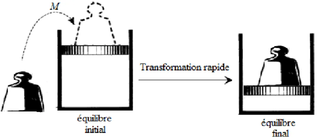 Figure 2.8 : Compression irréversible par dépôt brusque de la masse M 