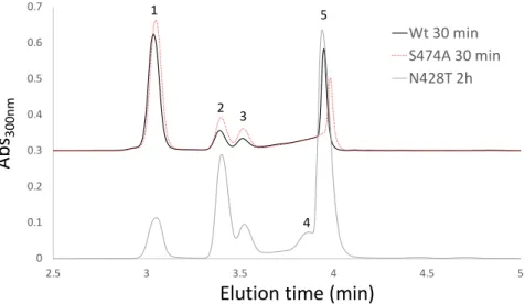 Figure S1 | HPLC analysis of transglycosylation reactions using CfMan2A-WT (black line) and variants S474A (red  dotted line; both reaction mixtures diluted four times) and N428T (grey line, undiluted reaction mixture)