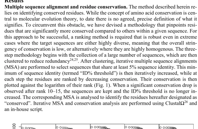 Fig. 1 | Residue conservation analysis. Residues in the MSA are ranked according to decreasing conservation, 