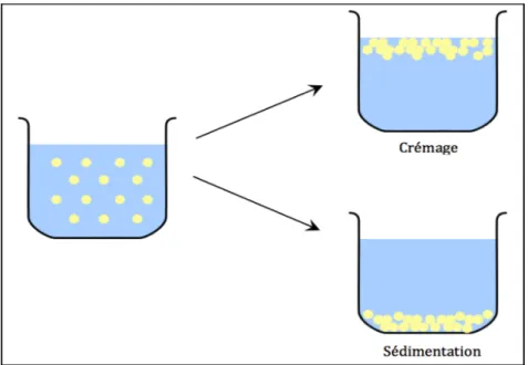 Figure 1.1 Émulsion : exemple de crémage et de sédimentation   Tirée de Dupasquier et al