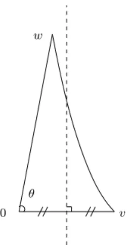 Figure 6. d(0, w) ≤ d(v, w) implies w is on the left of the dotted line, up to an error term.