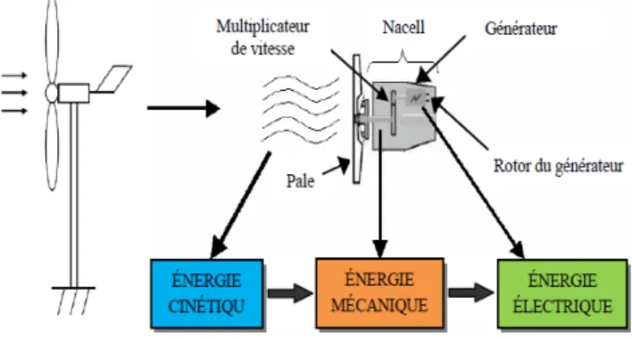 Fig. 2: Evolution du coefficient de puissance avec la variation  de la vitesse  relative de la turbine