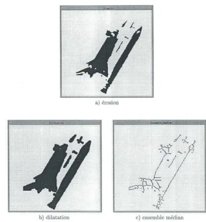 Figure 6 : Transformées  homotopiques d’une image binaire 