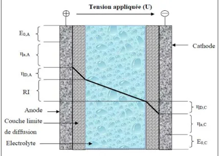 Figure I.9 : Décomposition de la tension de cellule électrochimique 