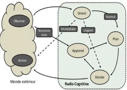 Figure I.4: Cycle de cognition de Mitola [18] 