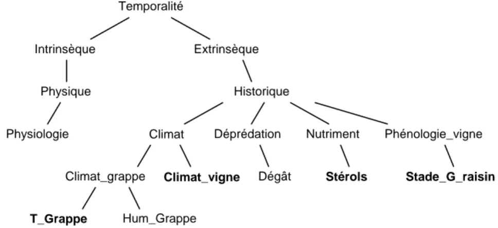 Figure 7. Vocabulaires du groupe fonctionnel de Temporalité. Les termes figurant  en caractère gras correspondent aux actions A et B