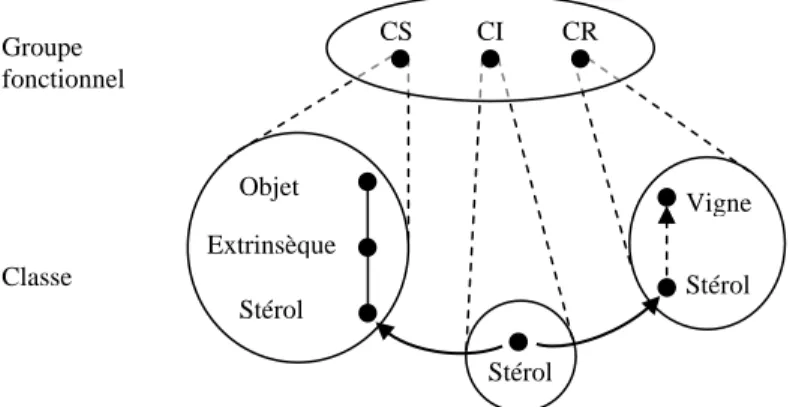 Figure 3.  Description multi-niveaux d’un groupe fonctionnel. Exemple de  projection de l’élément ‘stérols’ redevables de la classe Information (CI) dans les  classes Référentiel (CR) et Sémantique (CS)