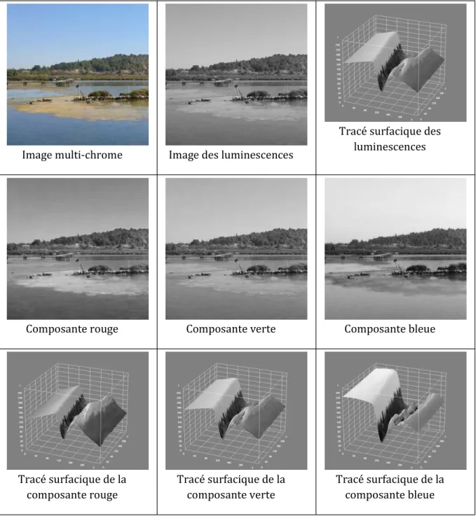 Figure 1 : Représentation d’une image numérique