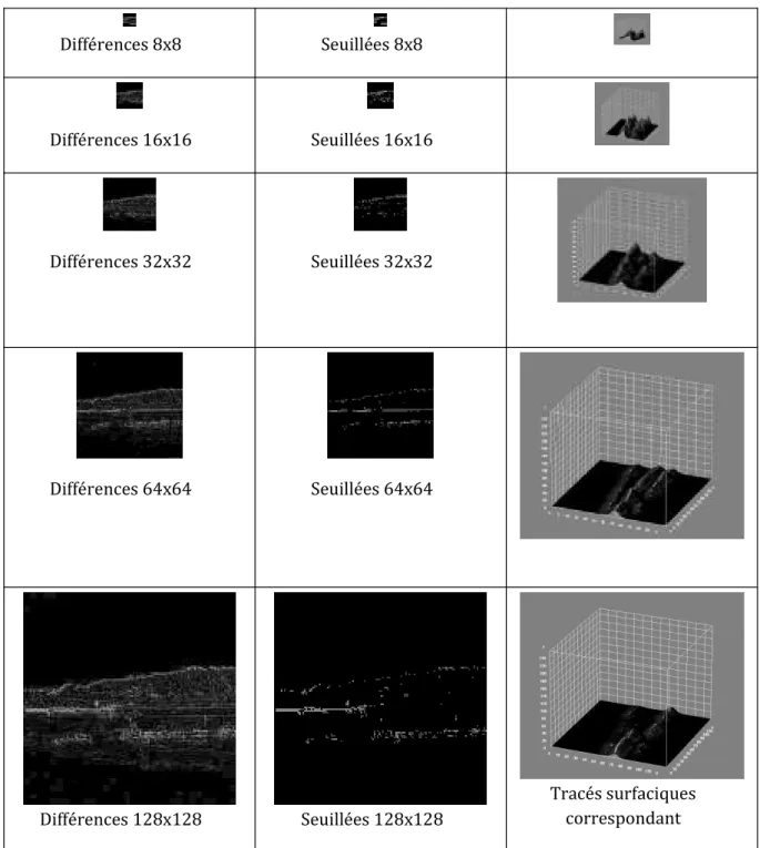 Figure 3 : Détection des irrégularités dans une image