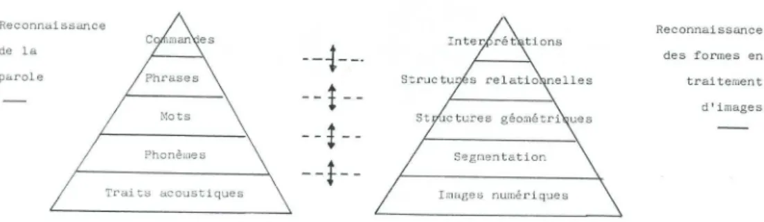 Figure 9 : Emboîtement pyramidal des informations dans un système perceptuel