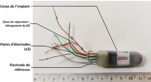 Figure 6 : Photographie de l’implant de télémétrie, prêt pour l’implantation. Les fils d’électrodes sont ligaturés  à l’extrémité de leur gaine plastique pour permettre l’étanchéité