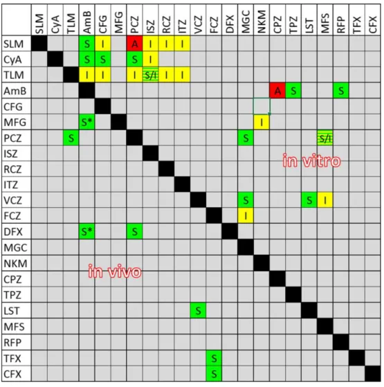 Figure 6 : Activité in vitro et in vivo sur les Mucorales de combinaisons entre molécules antifongiques  et non-antifongiques, extraite de (108)