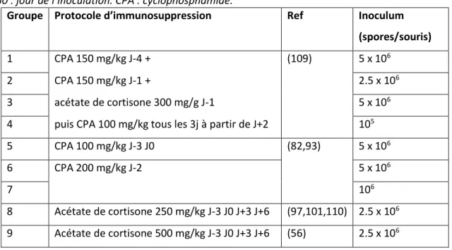 Tableau 1 :  Protocoles d’immu nosuppression et inocula fongiques testés.  