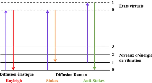 Figure II.2. Diagramme de Jablonski représentant les processus radiatifs mis en jeu lors de l’analyse d’un  matériau par spectroscopie Raman 